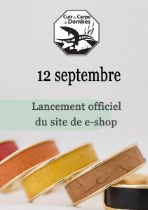 Lancemenent du site de e-commerce ! On vous attend nombreux 😉 !